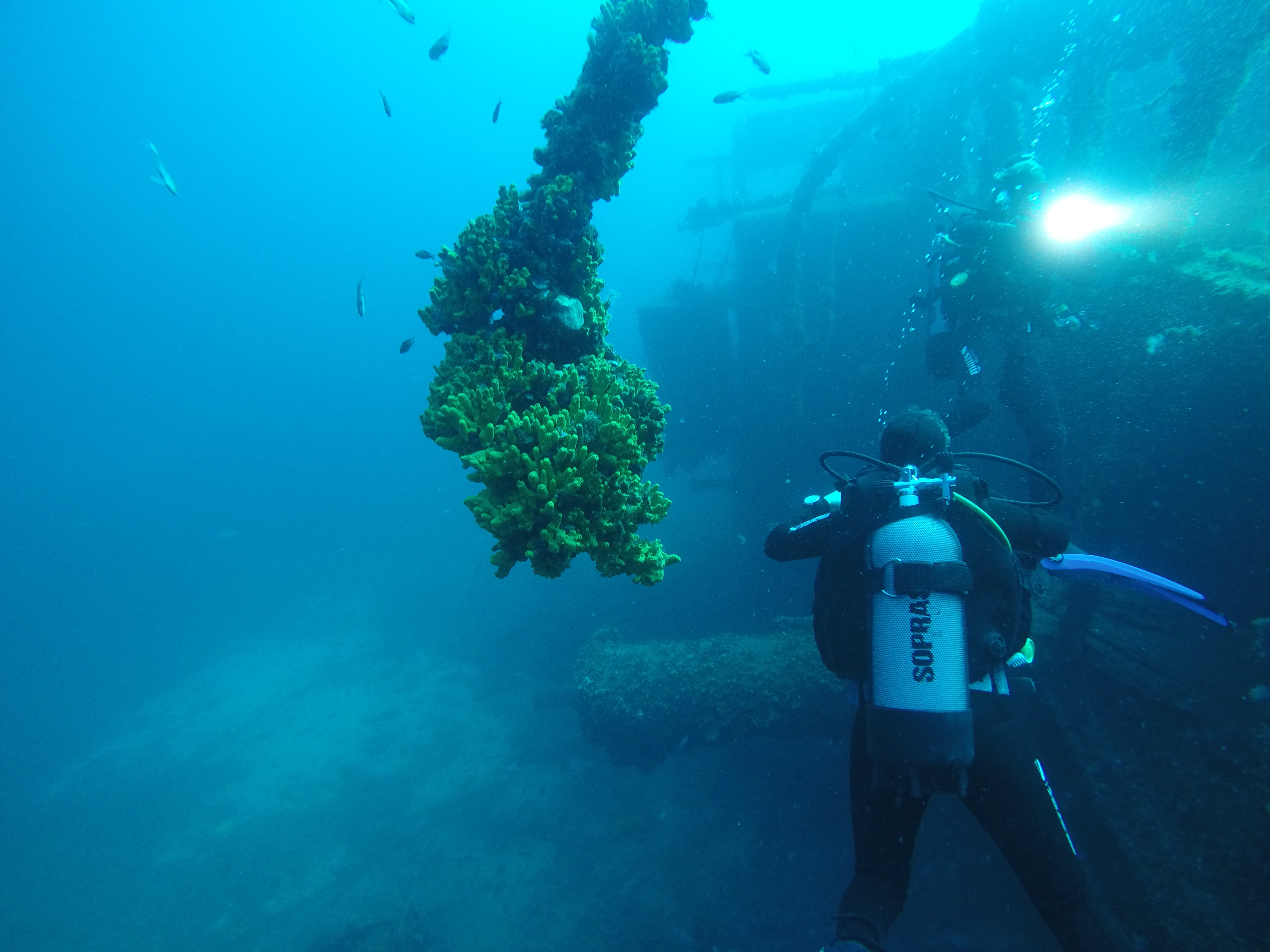 diving-padi-croatia-vis-dubrovnik-komiza-08.jpg
